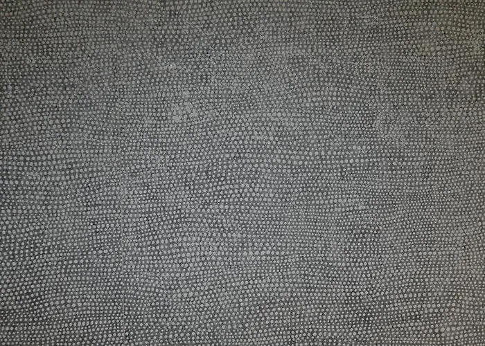 Salus 3* Πεσκάρα